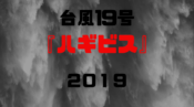 台風19号　2019　米軍